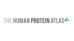 The Human Protein Atlas