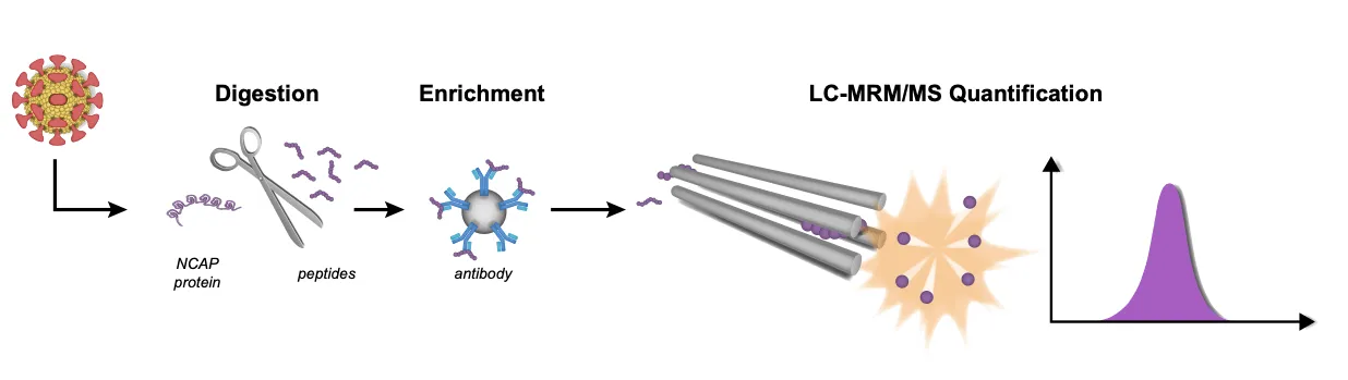 Mass spectrometry suggested as a future essential analytical contribution to Covid-19 pandemic readiness
