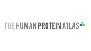 The Human Protein Atlas