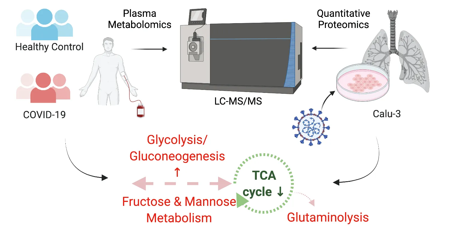 Metabolic perturbation of SARS-CoV-2 as a potential future therapeutic target