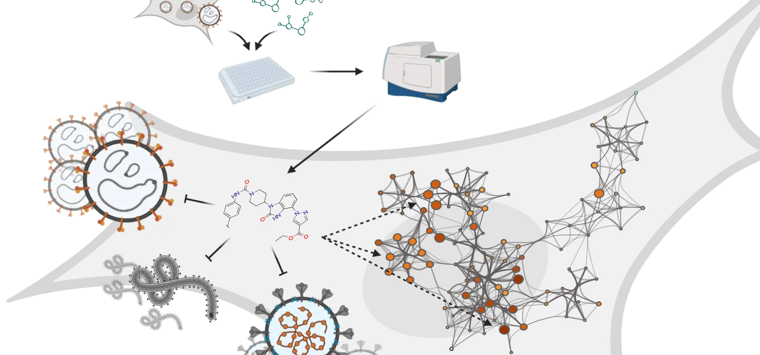 A novel approach to discover and characterize broad-spectrum antivirals