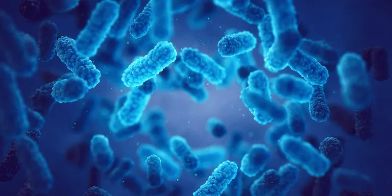 Pandemic Laboratory Preparedness (PLP) Program