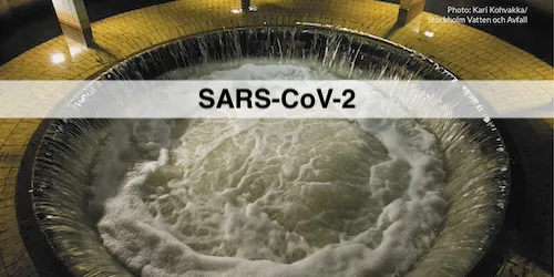 Historic SARS-CoV-2 wastewater data (SEEC-SLU)