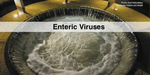 Amount of enteric virus in wastewater (GU)