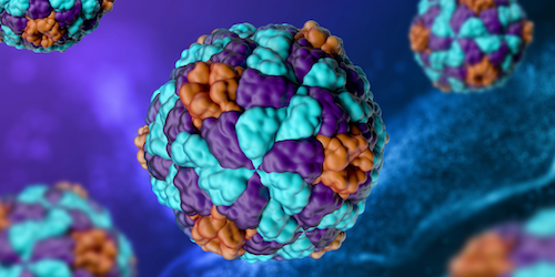 Acute hepatitis of unknown etiology (April 2022)