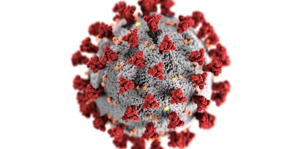 SARS-CoV-2
