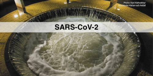 Amount of SARS-CoV-2 in wastewater (GU)
