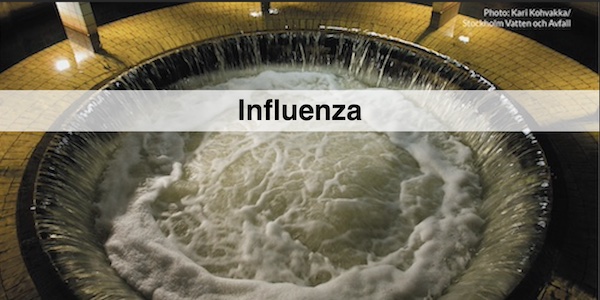 Historic influenza virus in wastewater (SLU)